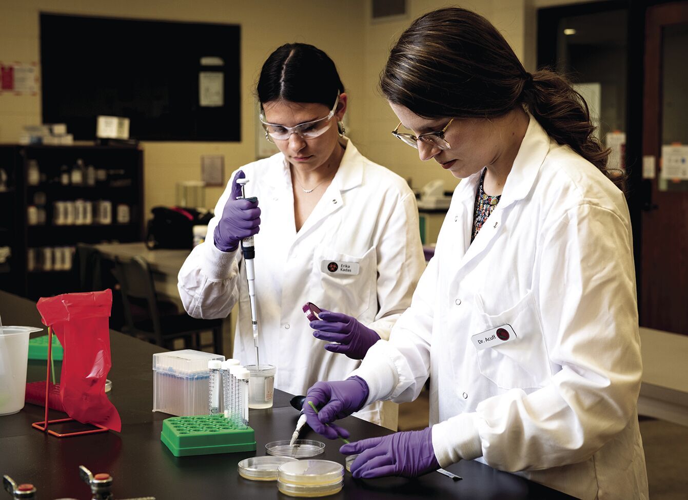 Arkansas food scientists food safety
